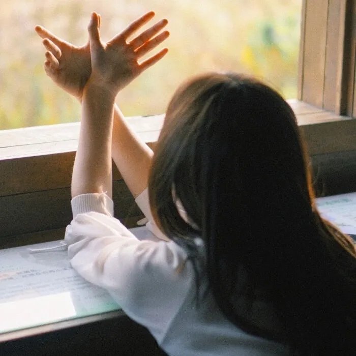 数码宝贝大冒险02新剧场版